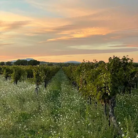 Villa Grande Maison A Teyran